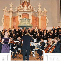 Musikalischer Hochgenuss